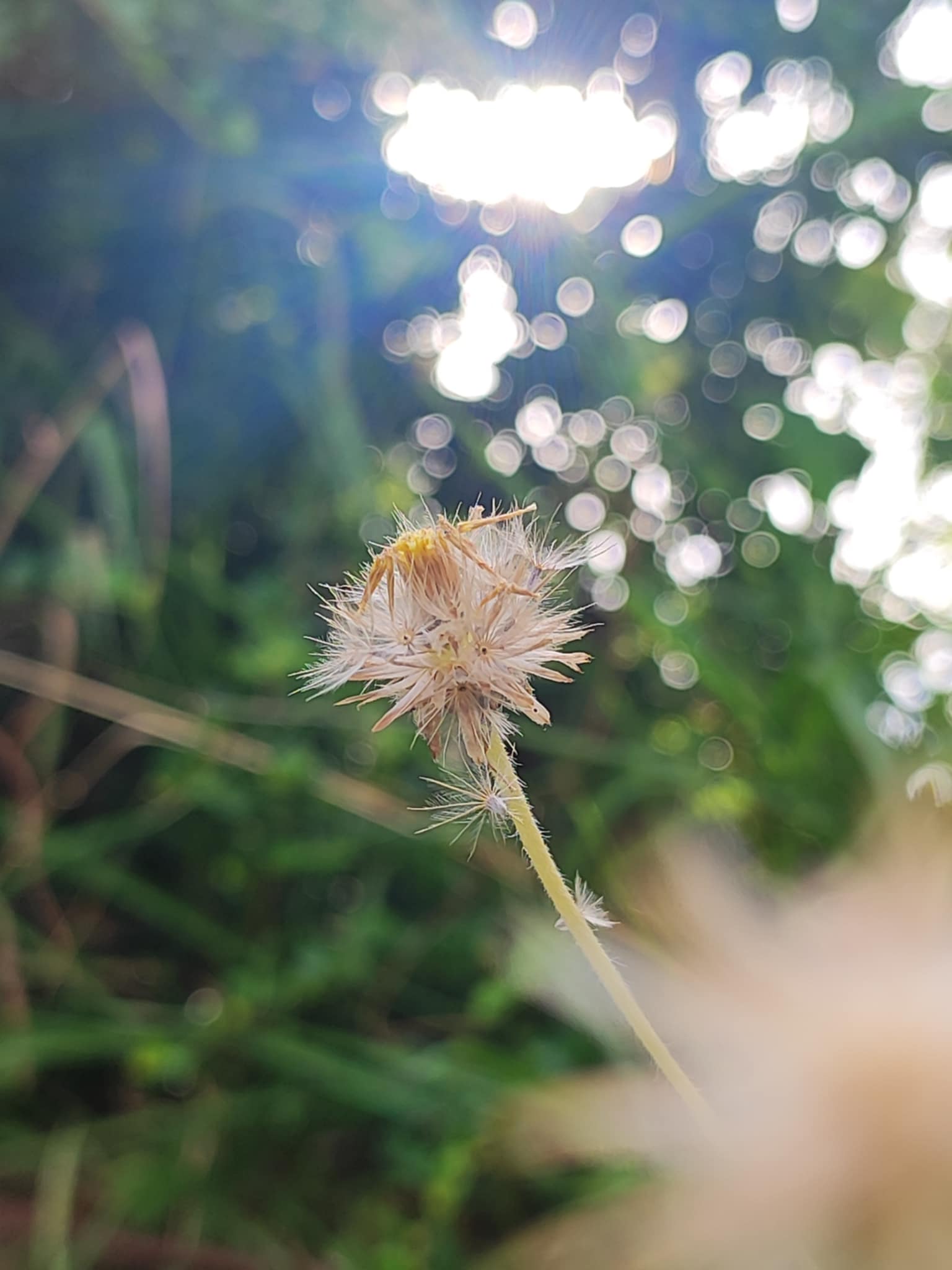 Photography 2